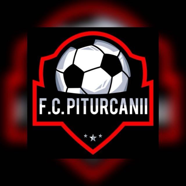 logo MFC Piturcanii