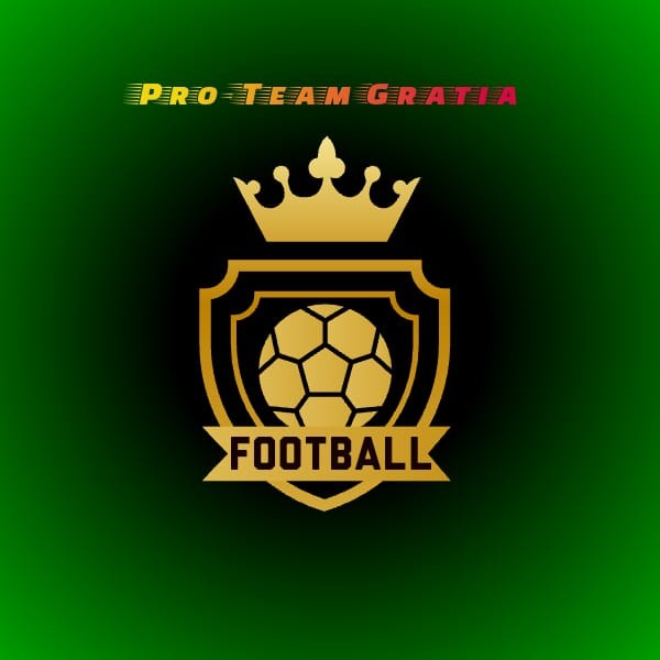logo Pro Team Gratia