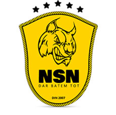 logo NSN
