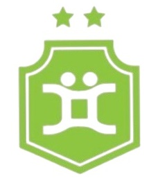 logo Gemini Solutions