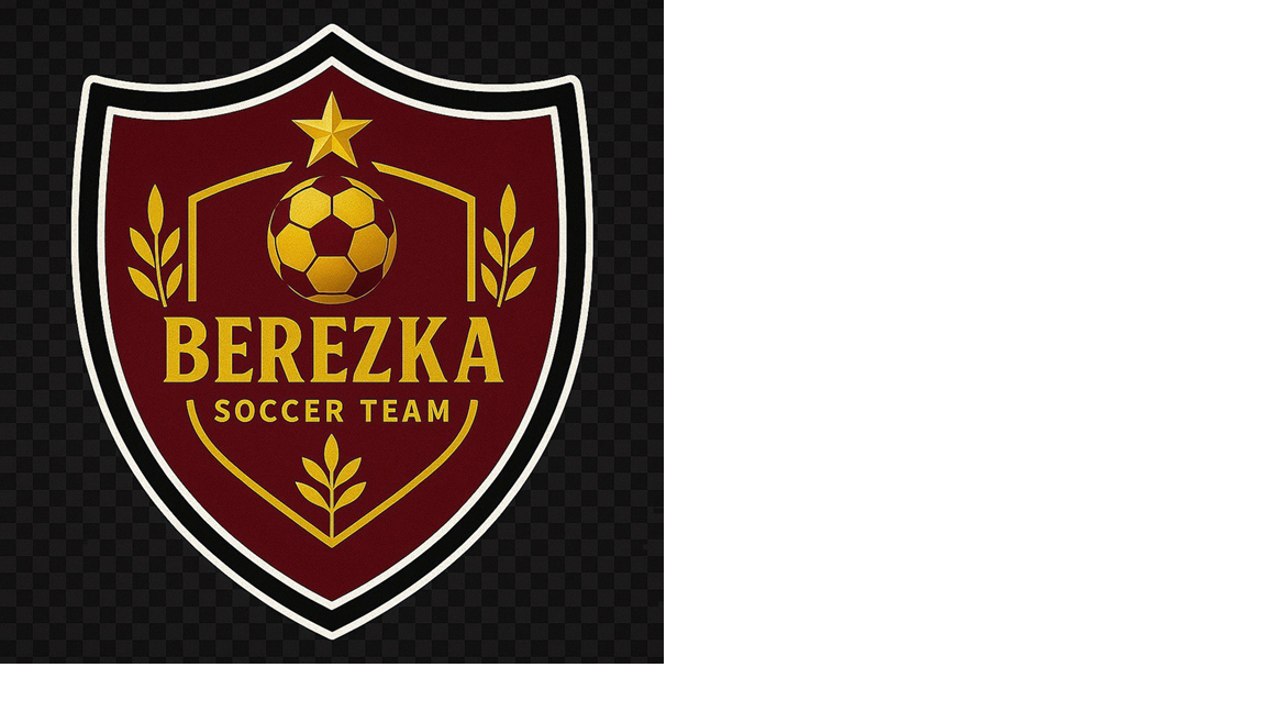 logo Berezka Stores SRL